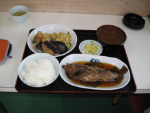 にっかちゃんの日記
