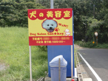 にっかちゃんの日記