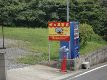 にっかちゃんの日記